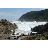 รูปถ่าย แอฟริกาใต้(South Africa) อุทยานแห่งชาติซิตซิคัมมา(Tsitsikamma National Park) 2008-09 450
