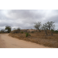 รูปถ่าย แอฟริกาใต้(South Africa) อุทยานแห่งชาติครูเกอร์(Kruger National Park) 2008-09 175
