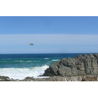 รูปถ่าย แอฟริกาใต้(South Africa) อุทยานแห่งชาติซิตซิคัมมา(Tsitsikamma National Park) 2008-09 112