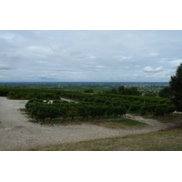 รูปถ่าย ฝรั่งเศส(France) มงบาซียัก(Monbazillac) 2010-08 113