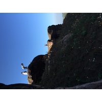 รูปถ่าย ไทย(Thailand) อุทยานแห่งชาติภูหินร่องกล้า(Phu Hin Rong Kla National Park) 2014-12 325
