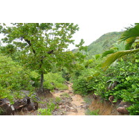รูปถ่าย เซเชลส์(Seychelles) อ่าวอ็องส์ลาซิโอ(Anse Lazio) 2011-10 97