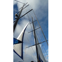 รูปถ่าย เซเชลส์(Seychelles) ซีสตาร์(Sea Star) 2011-10 34