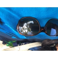 รูปถ่าย กวาเดอลูป(Guadeloupe) หาดลาการาแวล(La Caravelle Beach) 2021-02 94