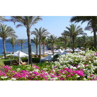รูปถ่าย อียิปต์(Egypt) ชาร์มเอลชีค(Sharm el Sheikh) โรงแรมโฟร์ซีซันส์(Four Seasons Hotel) หาดโฟร์ซีซันส์(Four Seasons Beach) 2008-06 49