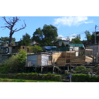 รูปถ่าย แอฟริกาใต้(South Africa) ไนส์นา(Knysna) 2008-09 106