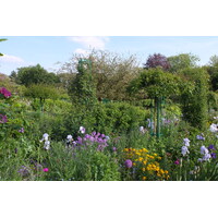 รูปถ่าย ฝรั่งเศส(France) ฌีแวร์นี(Giverny) 2013-06 19