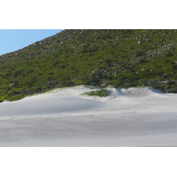 รูปถ่าย แอฟริกาใต้(South Africa) แหลมกู๊ดโฮป(Cape of Good Hope) 2008-09 17