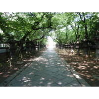 รูปถ่าย ญี่ปุ่น(Japan) โตเกียว(Tokyo) อุเอโนะ(Ueno) 2010-06 54