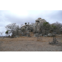 รูปถ่าย แอฟริกาใต้(South Africa) อุทยานแห่งชาติครูเกอร์(Kruger National Park) 2008-09 20