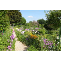 รูปถ่าย ฝรั่งเศส(France) ฌีแวร์นี(Giverny) 2013-06 8