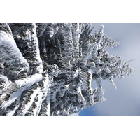 รูปถ่าย ฝรั่งเศส(France) เลทรัววาเล(Les 3 Vallees) 2013-03 368