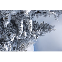 รูปถ่าย ฝรั่งเศส(France) เลทรัววาเล(Les 3 Vallees) 2013-03 99