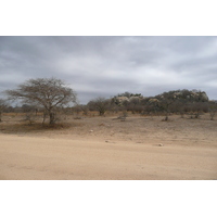 รูปถ่าย แอฟริกาใต้(South Africa) อุทยานแห่งชาติครูเกอร์(Kruger National Park) 2008-09 1