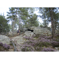 รูปถ่าย ฝรั่งเศส(France) ฟงเทนโบล(Fontainebleau) ทัวร์ป่า(Circuit des 25 bosses) 2007-08 130