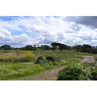 รูปถ่าย ฝรั่งเศส(France) ฟรูเกรสคอง(Plougrescant) 2007-08 46
