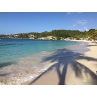 รูปถ่าย กวาเดอลูป(Guadeloupe) หาดลาการาแวล(La Caravelle Beach) 2021-02 83