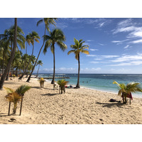 รูปถ่าย กวาเดอลูป(Guadeloupe) หาดลาการาแวล(La Caravelle Beach) 2021-02 16