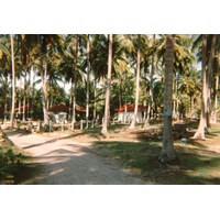 รูปถ่าย ไทย(Thailand) ภูเก็ต(Phuket) 1989-04 69