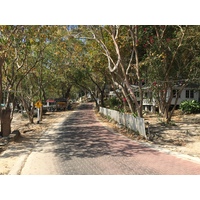 รูปถ่าย ไทย(Thailand) เกาะเสม็ด(Ko Samet) 2014-12 41
