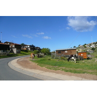 รูปถ่าย แอฟริกาใต้(South Africa) ไนส์นา(Knysna) 2008-09 28