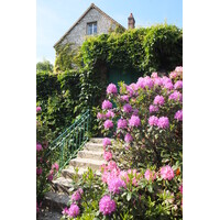 รูปถ่าย ฝรั่งเศส(France) ฌีแวร์นี(Giverny) 2013-06 51