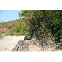 รูปถ่าย ไทย(Thailand) ชลบุรี(Chonburi) หาดทรายแก้ว(Sai Keaw Beach) 2008-01 37