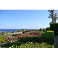 รูปถ่าย อียิปต์(Egypt) ชาร์มเอลชีค(Sharm el Sheikh) โรงแรมโฟร์ซีซันส์(Four Seasons Hotel) 2008-06 13
