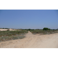 รูปถ่าย อิสราเอล(Israel) นิทซาน(Nitzan) 2007-06 68