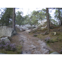 รูปถ่าย ฝรั่งเศส(France) ฟงเทนโบล(Fontainebleau) ทัวร์ป่า(Circuit des 25 bosses) 2007-08 79