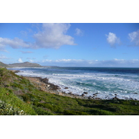 รูปถ่าย แอฟริกาใต้(South Africa) แหลมกู๊ดโฮป(Cape of Good Hope) 2008-09 122