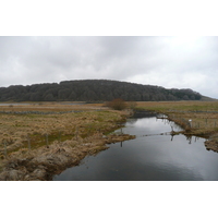 รูปถ่าย ฝรั่งเศส(France) โอบรัก(L'Aubrac) 2008-04 111