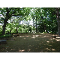 รูปถ่าย ญี่ปุ่น(Japan) โตเกียว(Tokyo) อุเอโนะ(Ueno) 2010-06 27