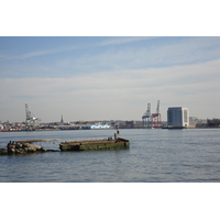 รูปถ่าย สหรัฐอเมริกา(United States) นิวยอร์ก(New York) สวน  แบตเตอรี่(Battery Park) 2006-03 20