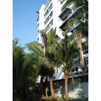รูปถ่าย ไทย(Thailand) พัทยา(Pattaya) โกลเดนฮอร์น(Golden Horn) 2007-02 38