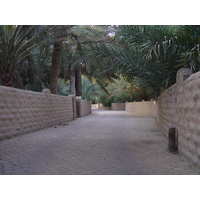 รูปถ่าย สหรัฐอาหรับเอมิเรตส์(United Arab Emirates) อาเลอิน(Al Ain) โอเอซิสอัลไอน์(Al Ain Oasis) 2005-03 0