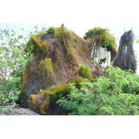 รูปถ่าย เซเชลส์(Seychelles) 2011-10 43