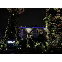 รูปถ่าย สิงคโปร์(Singapore) การ์เดนส์บายเดอะเบย์(Garden by the bay) 2023-01 42