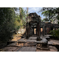 รูปถ่าย กัมพูชา(Cambodia) เสียมราฐ(Siem Reap) ปราสาทตาพรหม(Ta Prohm) 2023-01 42