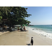 รูปถ่าย ไทย(Thailand) เกาะเสม็ด(Ko Samet) 2014-12 151