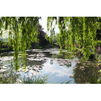 รูปถ่าย ฝรั่งเศส(France) ฌีแวร์นี(Giverny) 2013-06 156