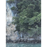 รูปถ่าย ไทย(Thailand) เกาะพีพีเล(Ko Phi Phi Ley) 2021-12 101