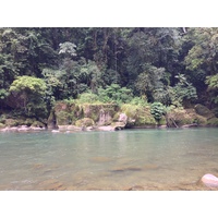 รูปถ่าย คอสตาริกา(Costa Rica) แม่น้ำปากัวเร(Pacuare River) 2015-03 4