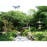 รูปถ่าย ญี่ปุ่น(Japan) โตเกียว(Tokyo) อุเอโนะ(Ueno) 2010-06 64