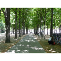 รูปถ่าย ฝรั่งเศส(France) ปารีส(Paris) ช็องเซลีเซ(Champs Elysees) 2007-05 18