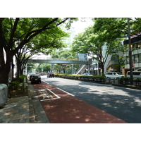 รูปถ่าย ญี่ปุ่น(Japan) โตเกียว(Tokyo) โอโมเตะซันโด(Omotesando) 2010-06 13