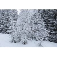 รูปถ่าย ฝรั่งเศส(France) เลทรัววาเล(Les 3 Vallees) 2013-03 455