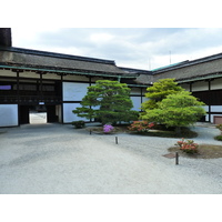 รูปถ่าย ญี่ปุ่น(Japan) เกียวโต(Kyoto) พระราชวังหลวงเกียวโต(Kyoto Imperial Palace) 2010-06 85