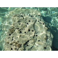 รูปถ่าย กรีก(Greece) เกาะคูโฟนิสเซีย(Koufonissia) 2014-07 636