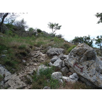 รูปถ่าย ฝรั่งเศส(France) วังซ์(Vence) บาอู(Baou) 2006-06 19